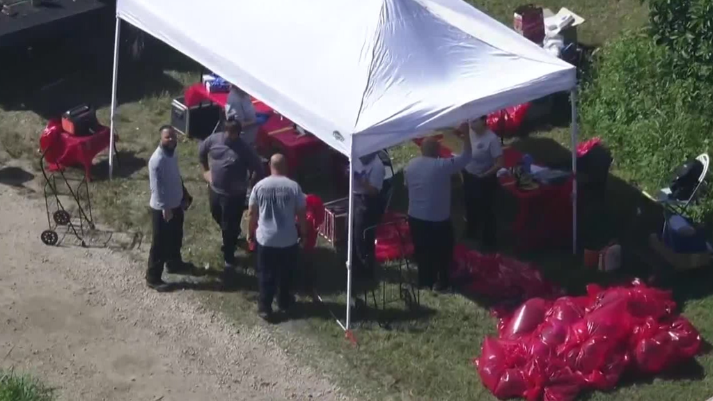 Family, friends of two men charged in Miami-Dade cockfighting case say allegations are false — CBS Miami, Shenzhen Real Estate news