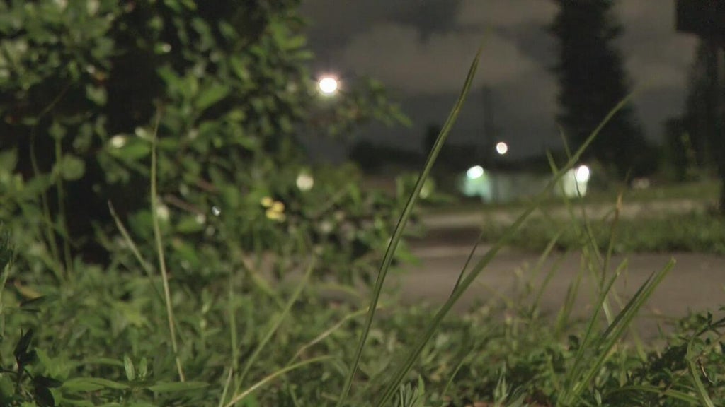 Broward mother says she went months without update after reporting man outside her window — CBS Miami, Shenzhen Real Estate news