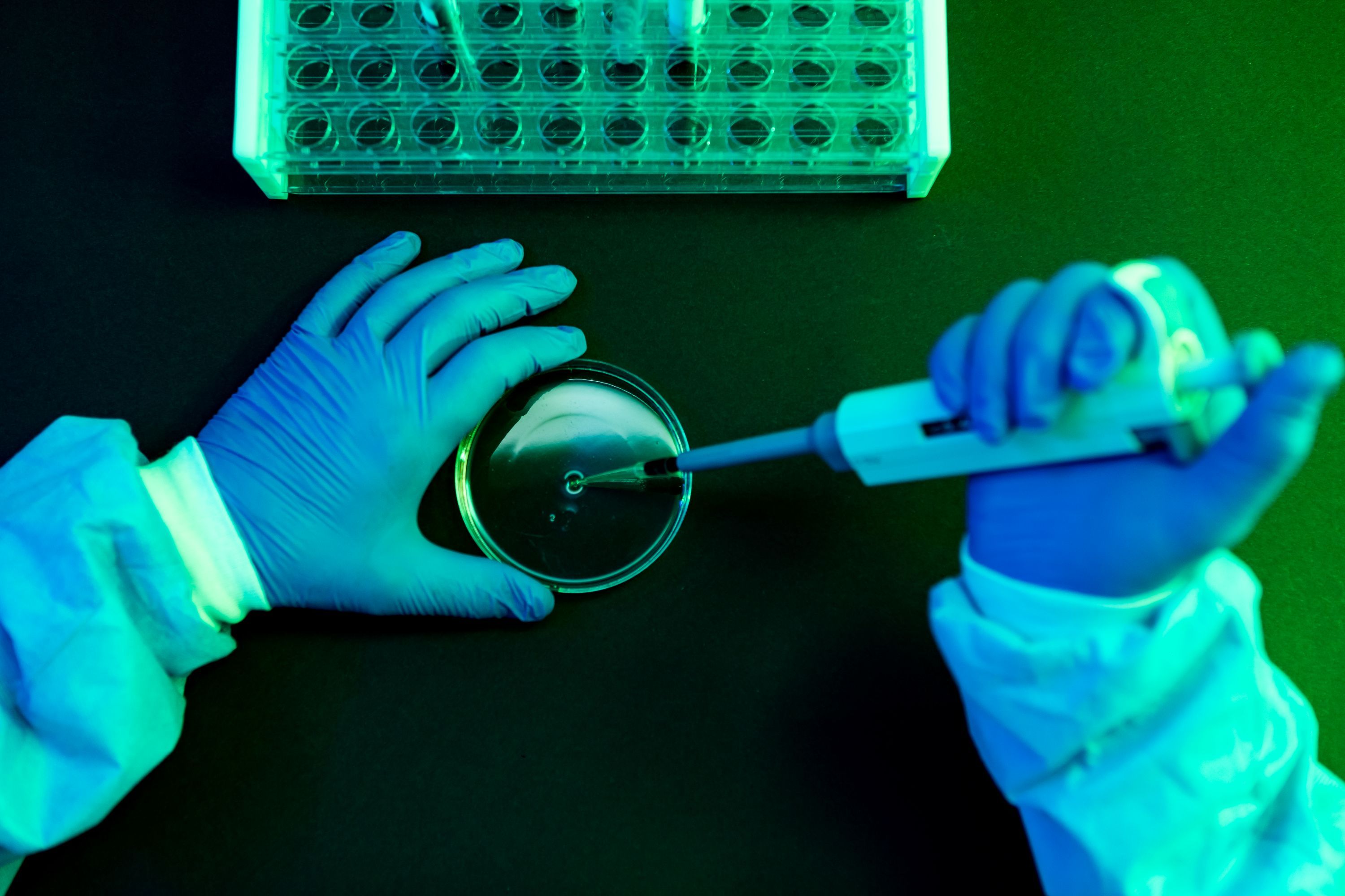 What to Know About Shamonda Virus Following the First Reported Human Infection — Wired, Shenzhen Technology news