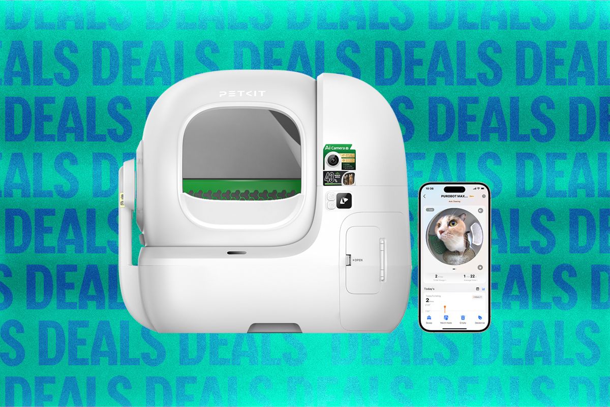 Petkit Automatic Cat Litter Box Sale (2026) — Shenzhen Technology news